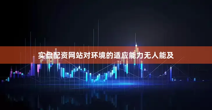 实盘配资网站对环境的适应能力无人能及