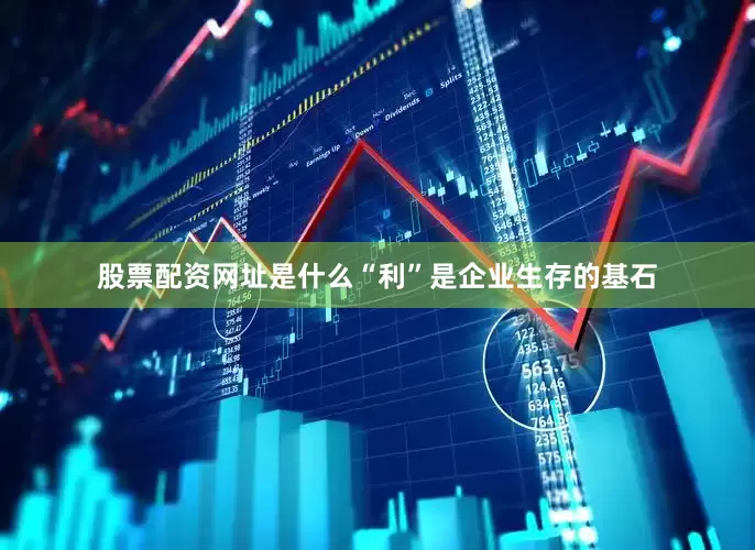 股票配资网址是什么“利”是企业生存的基石