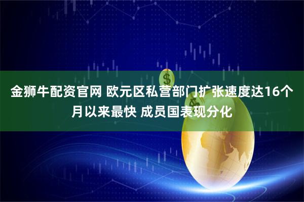 金狮牛配资官网 欧元区私营部门扩张速度达16个月以来最快 成员国表现分化