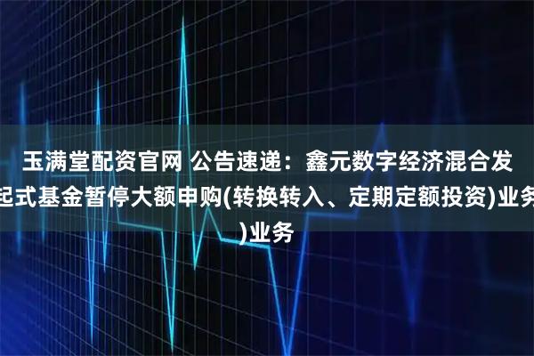 玉满堂配资官网 公告速递：鑫元数字经济混合发起式基金暂停大额申购(转换转入、定期定额投资)业务